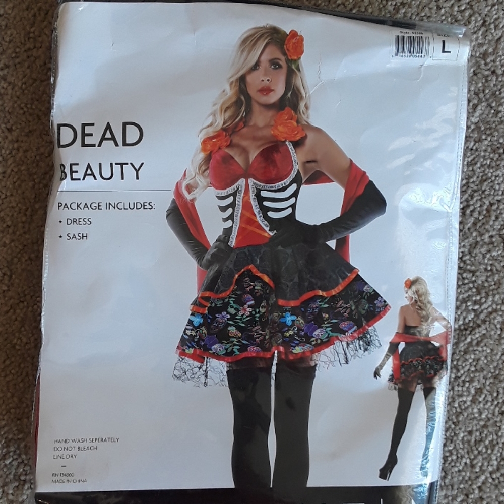 Day of the dead dress costume
